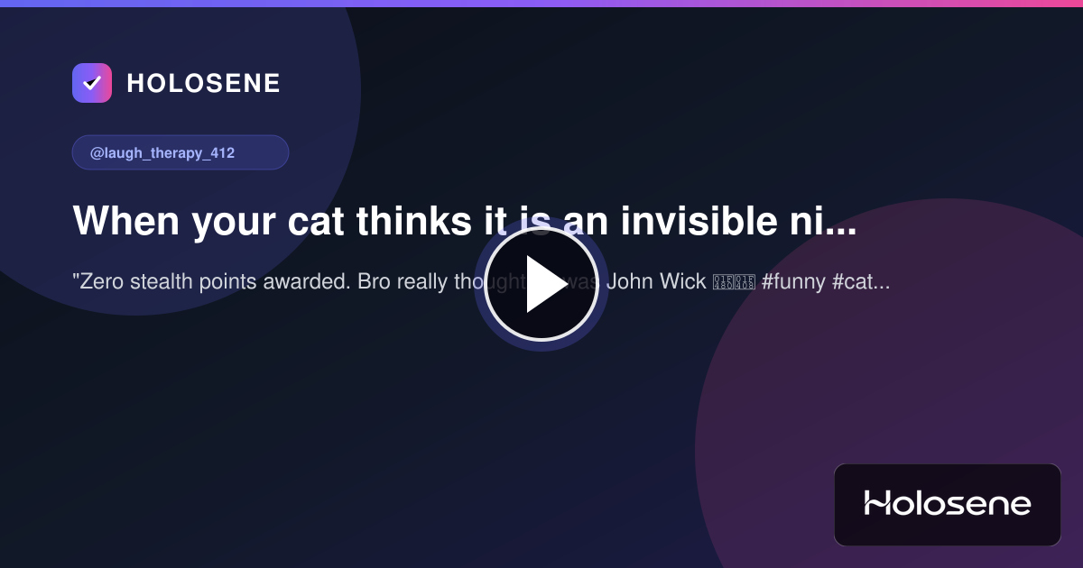 When your cat thinks it is an invisible ninja 😂